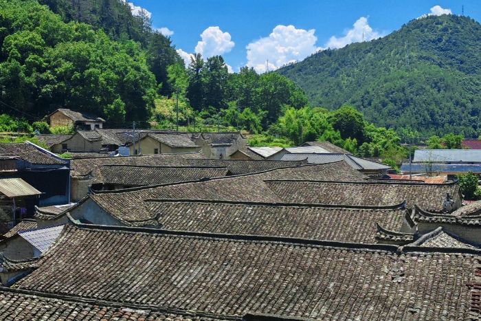 ��ǧ���뻨����һ����ʯ�֡��������ƺͿhʯ�ִ塰�^�c����ꠡ����`�F�